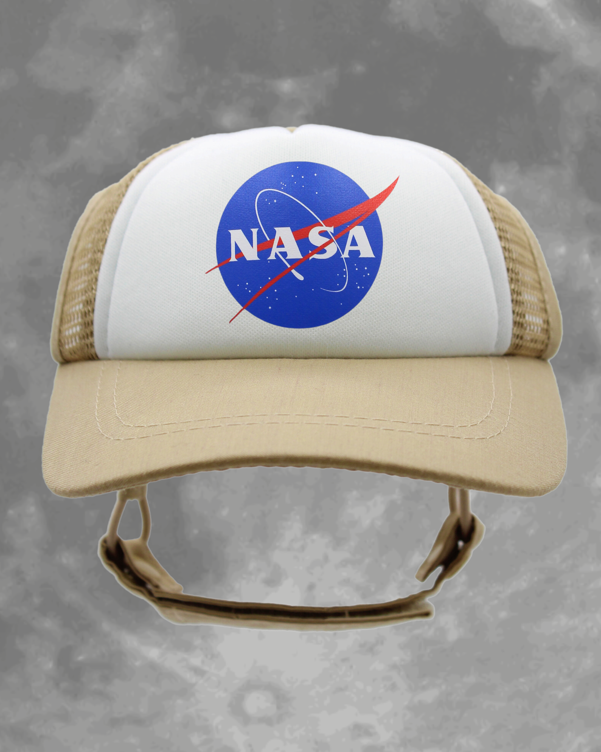 NASA meatball