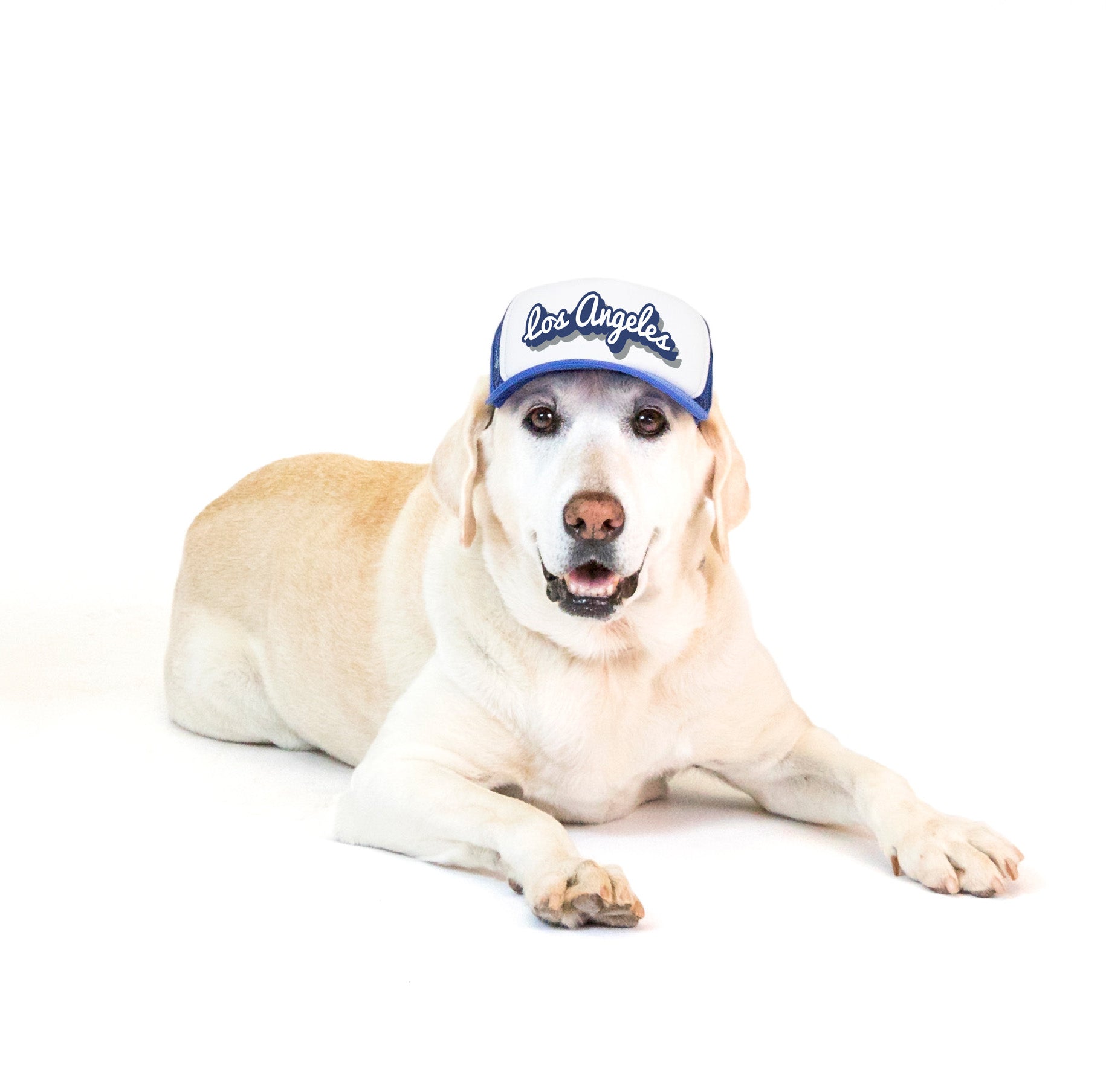 LA Baseball Cap For Dogs - Caps For Dogs