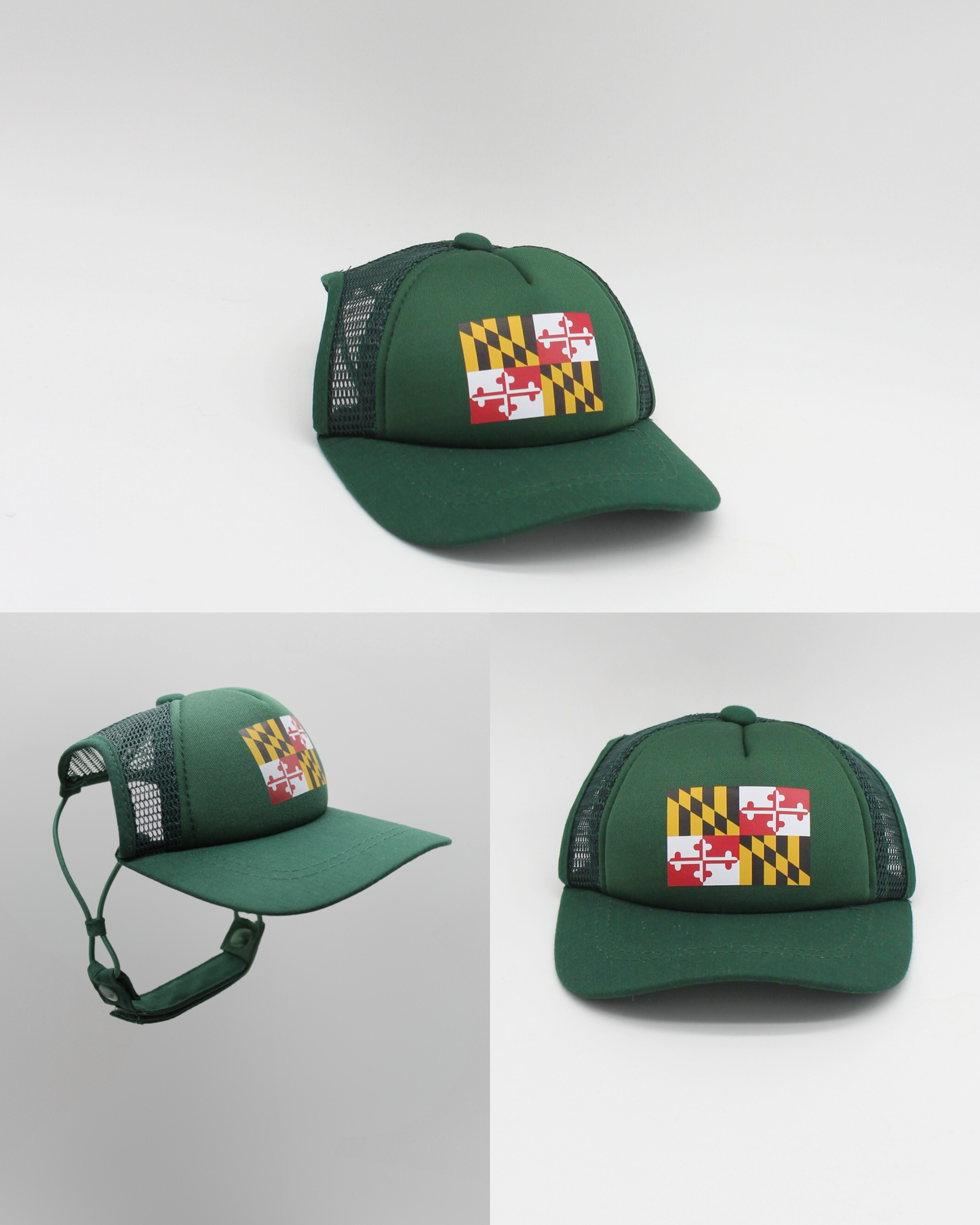 maryland flag