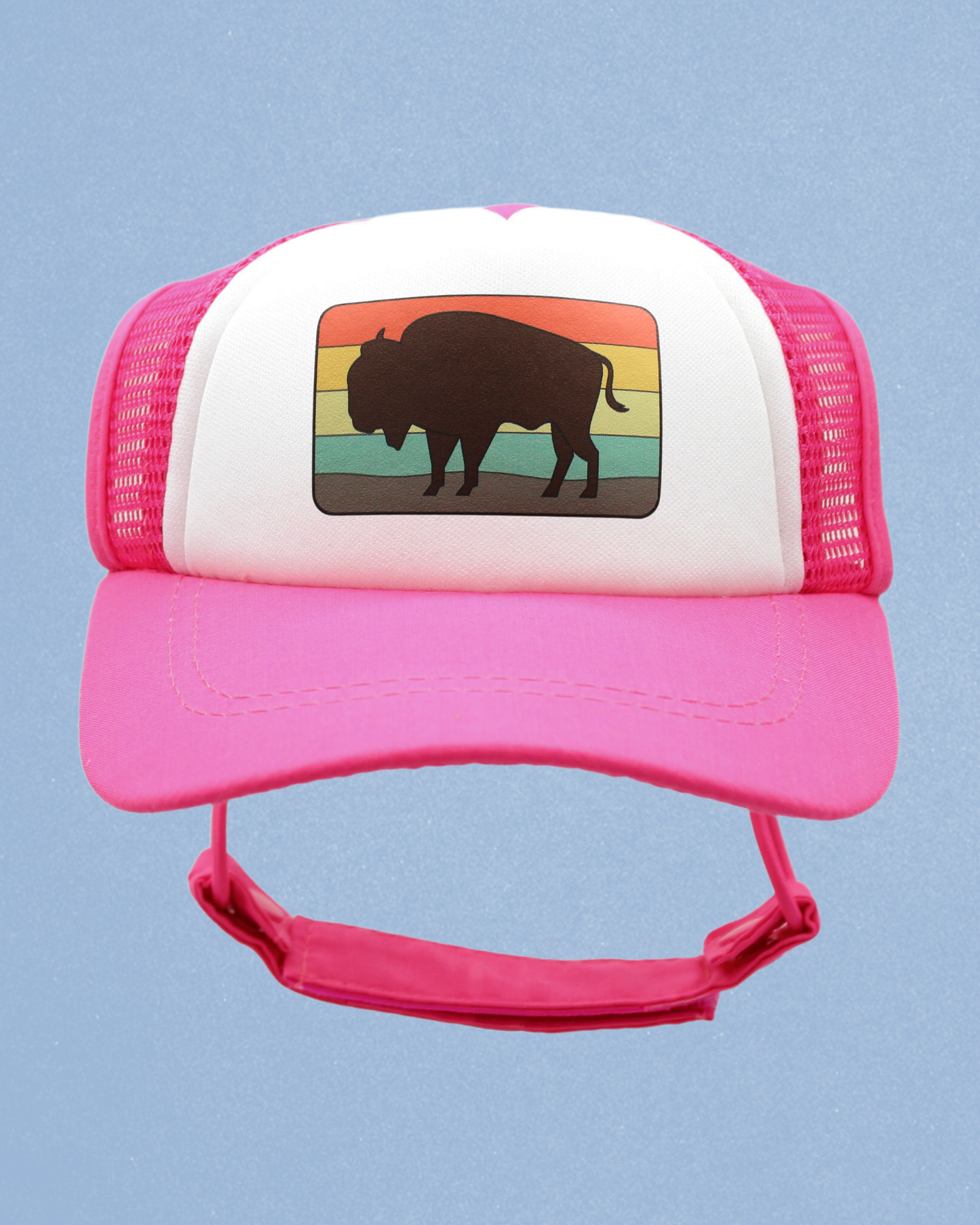 bison