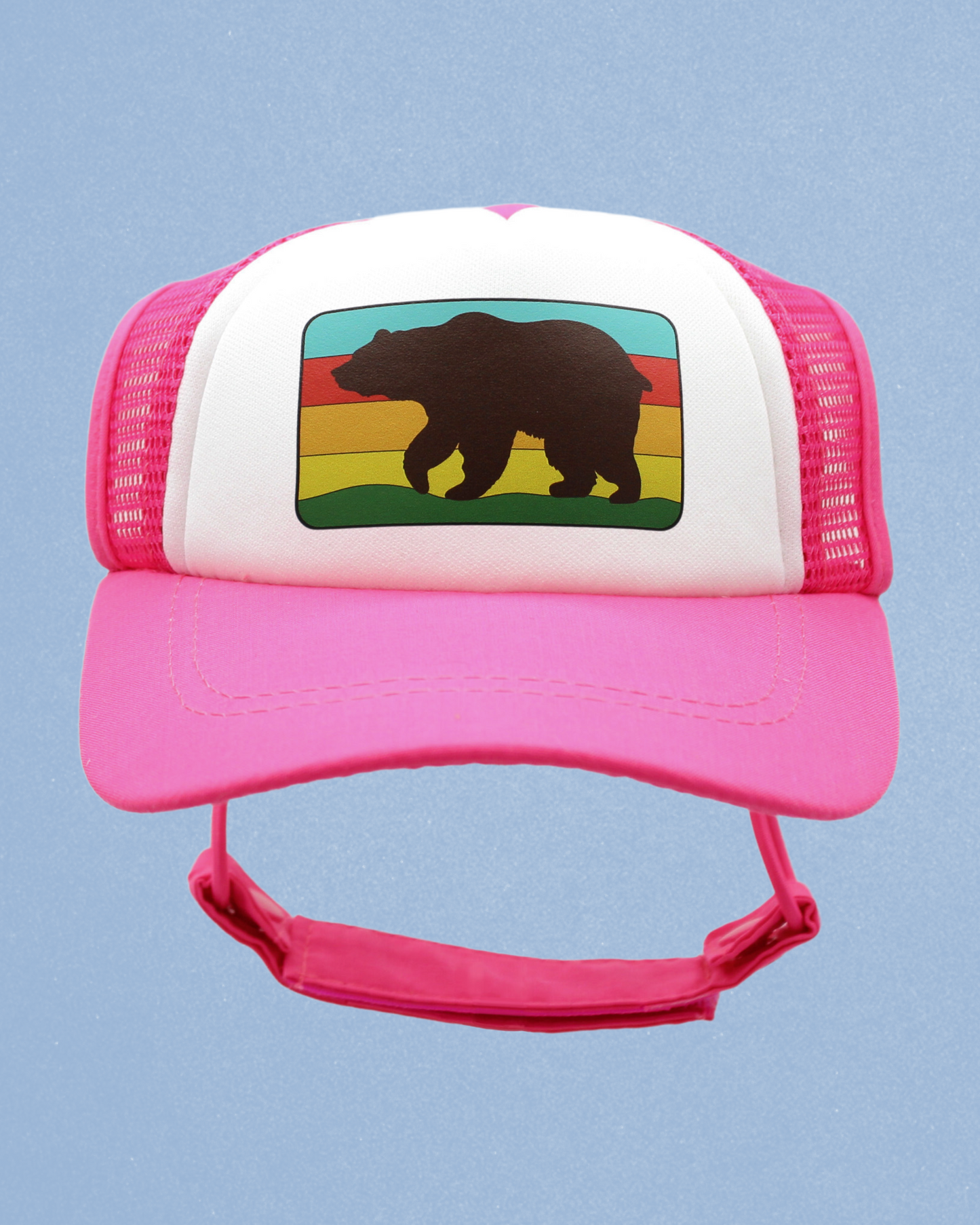 bear