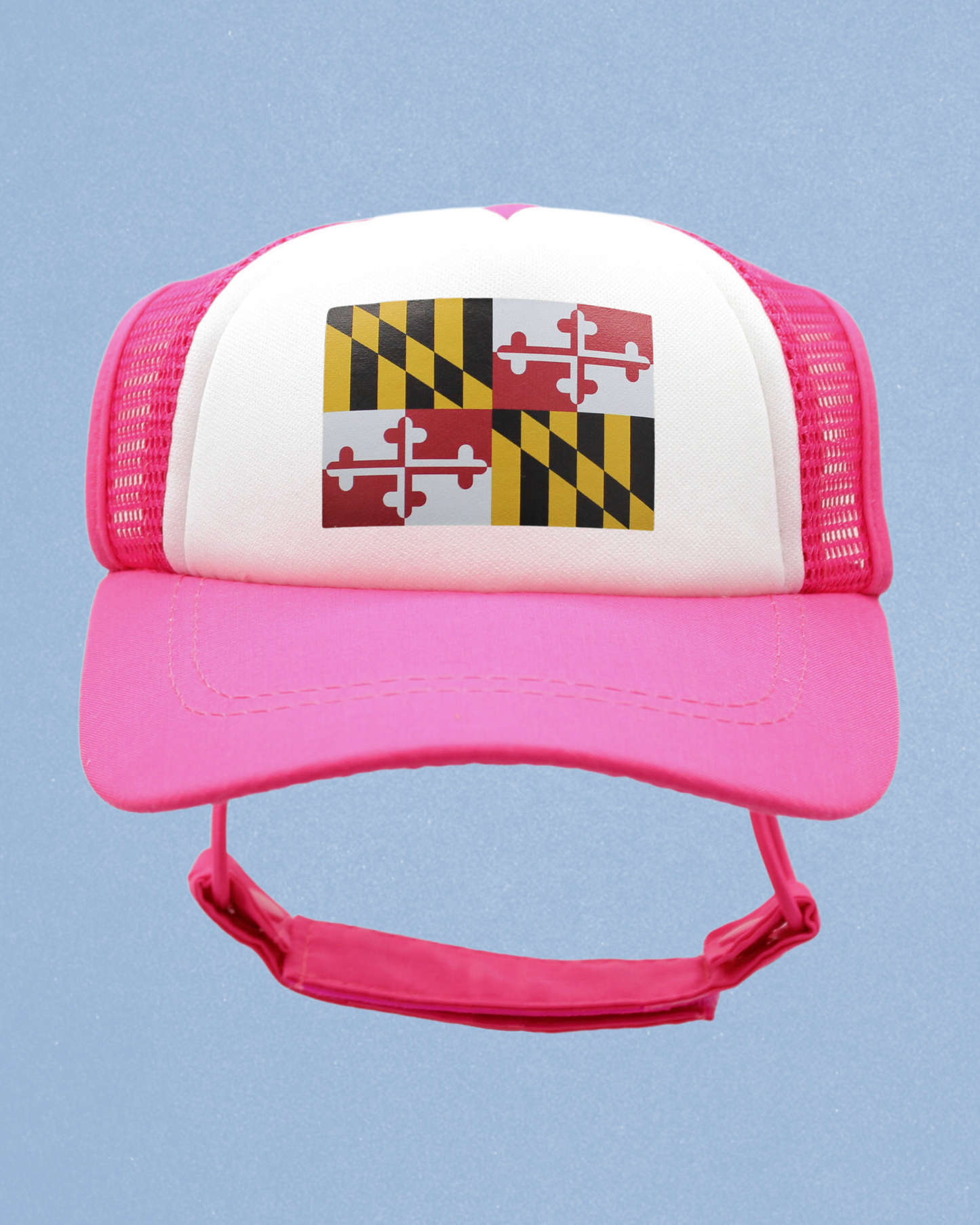 maryland flag