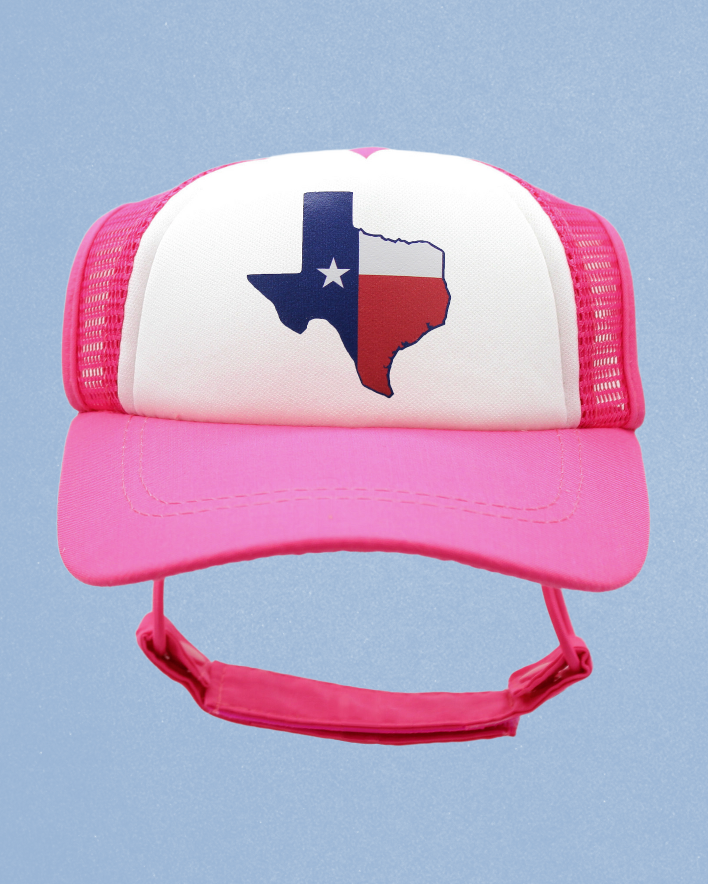 texas flag