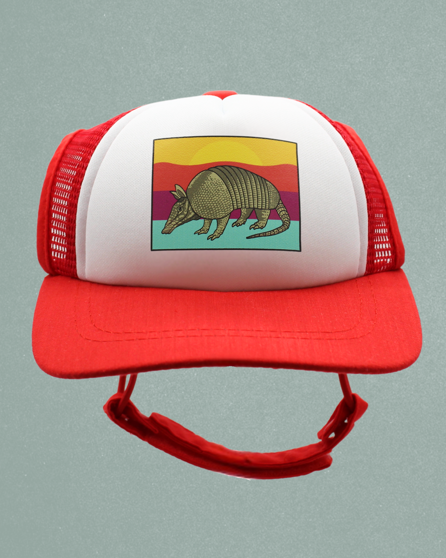 armadillo
