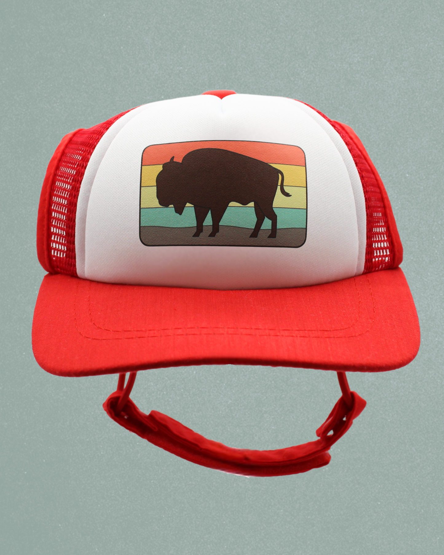 bison