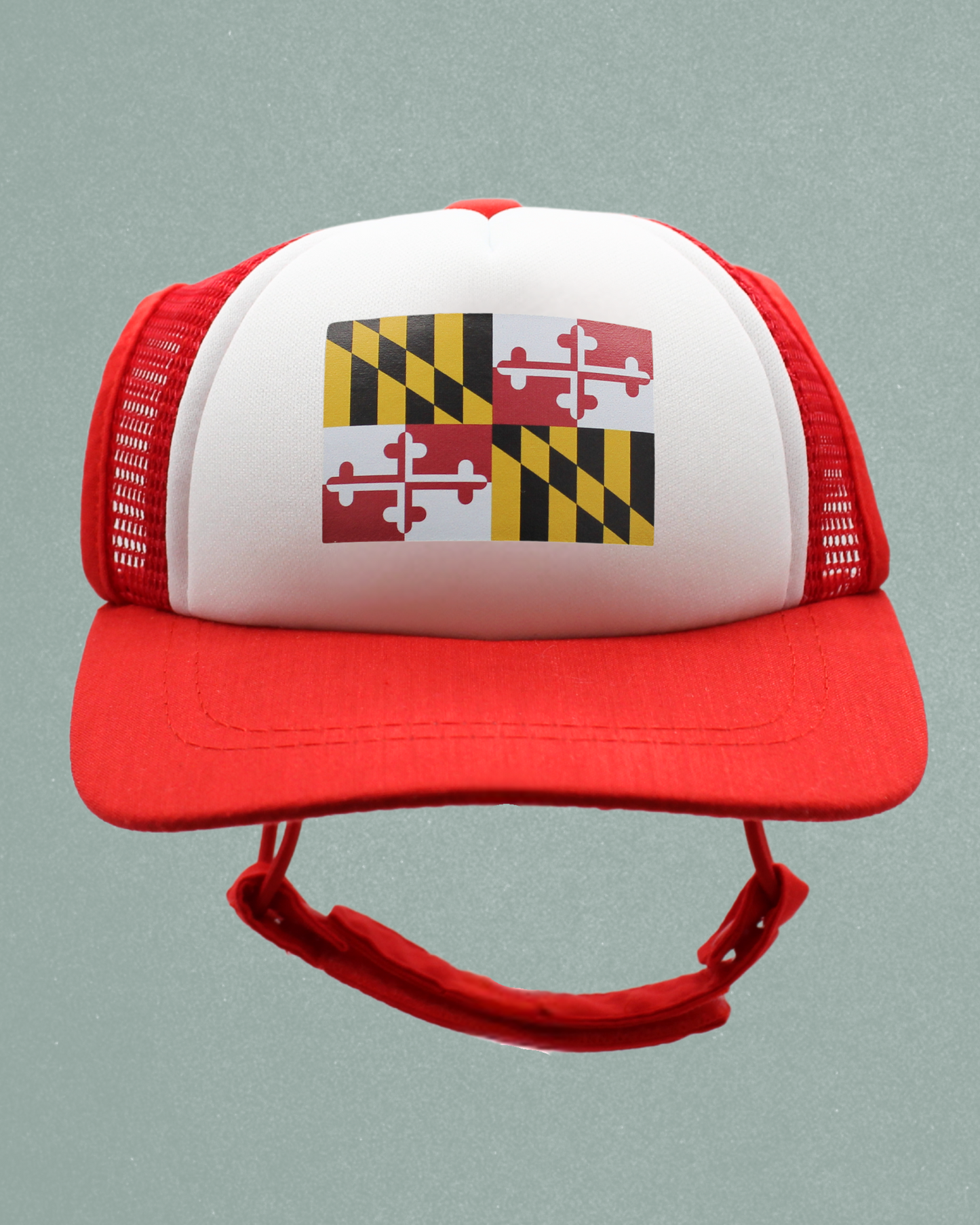 maryland flag