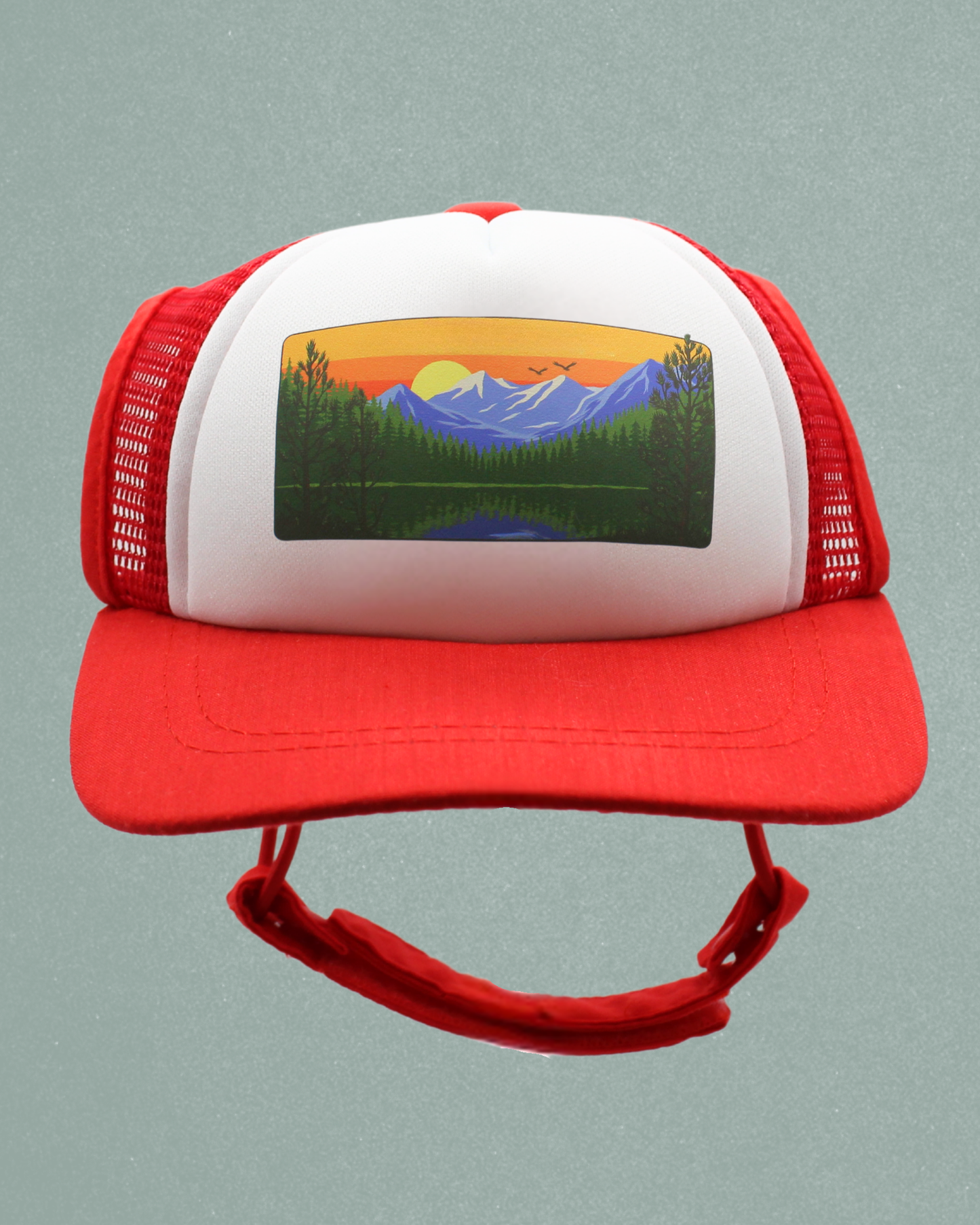 mountain lake cat hat