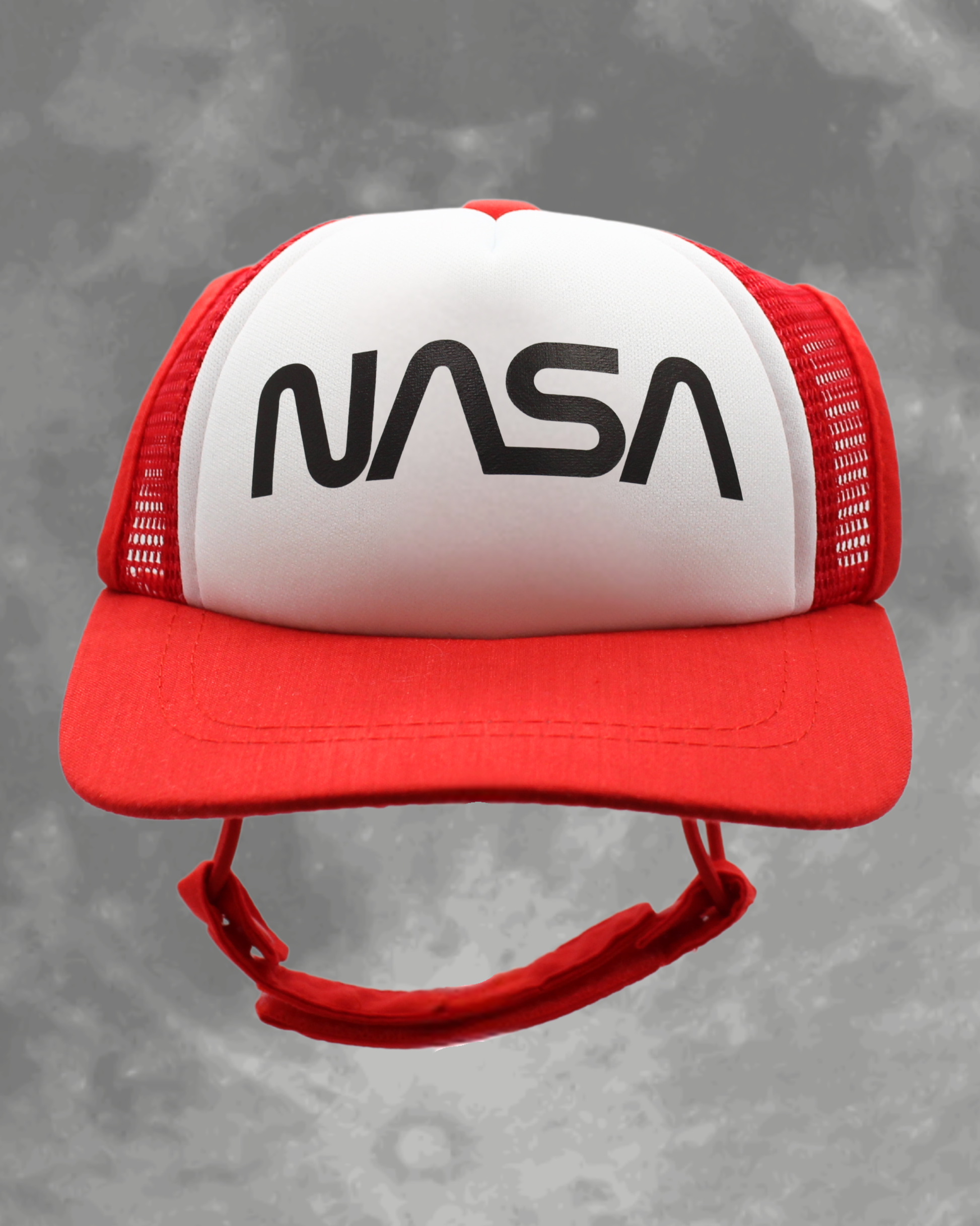 NASA worm