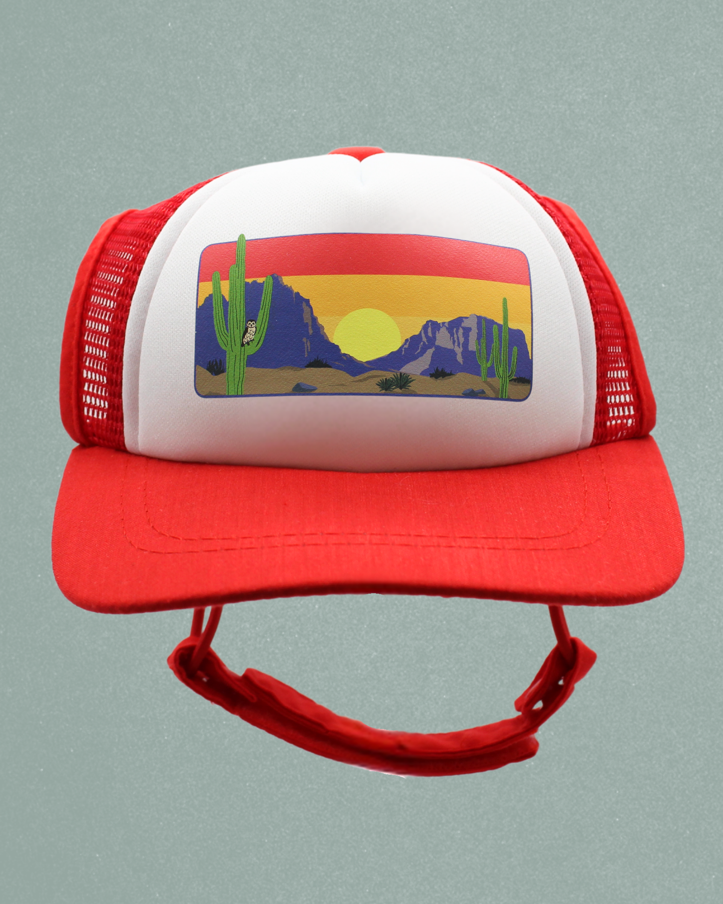 desert owl cat hat