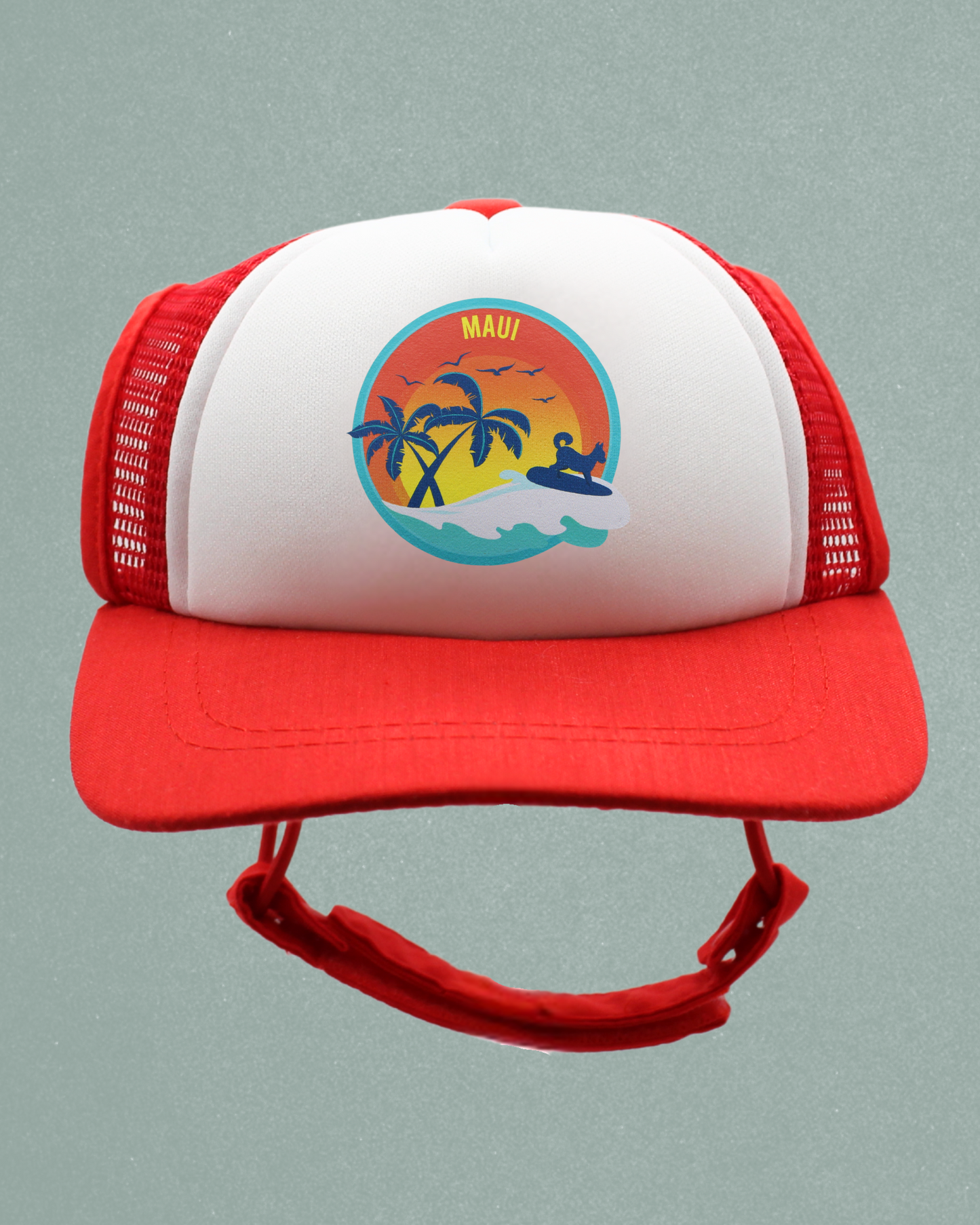 maui surfer dog