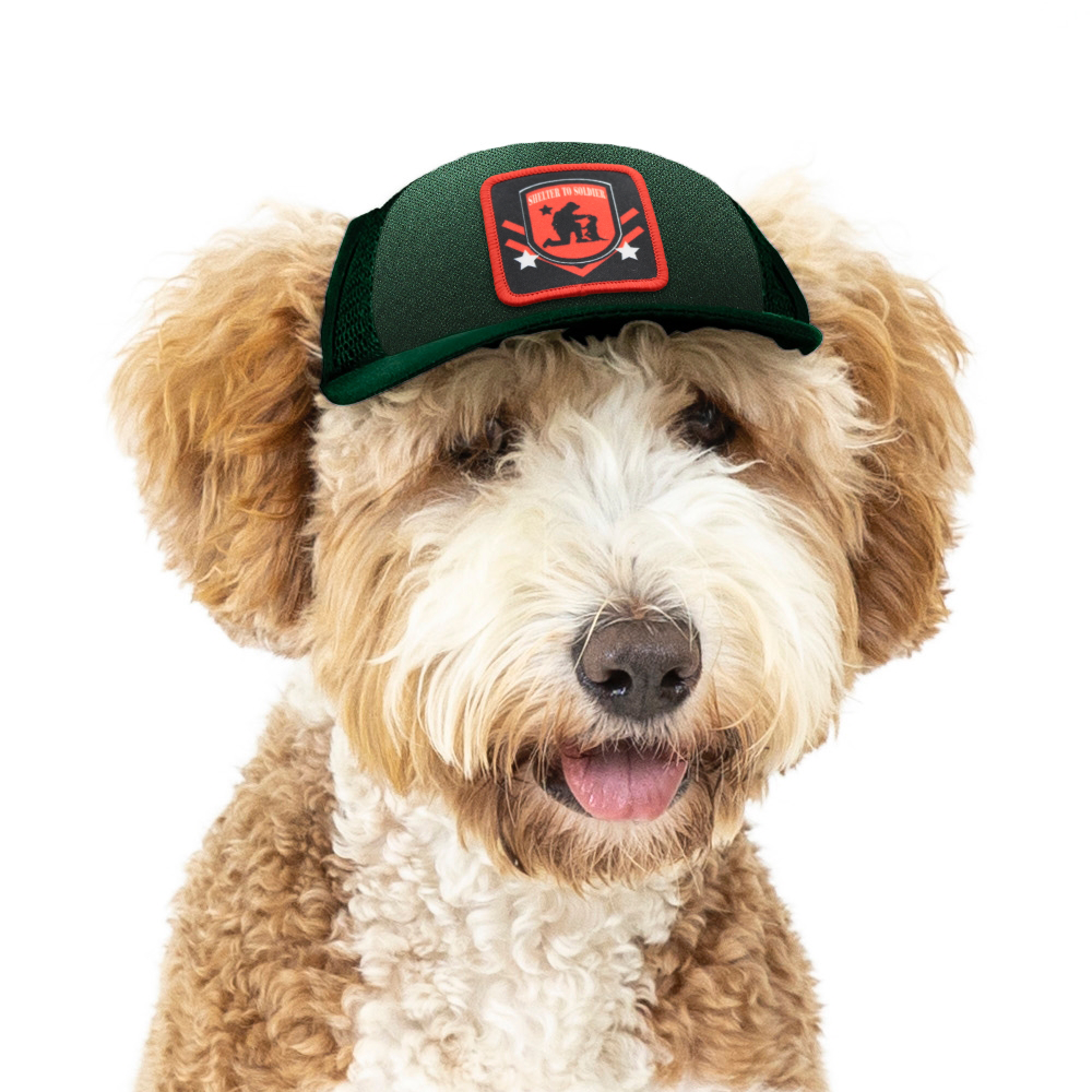 Shelter to Soldier x PupLid | Size Small Dog Hat