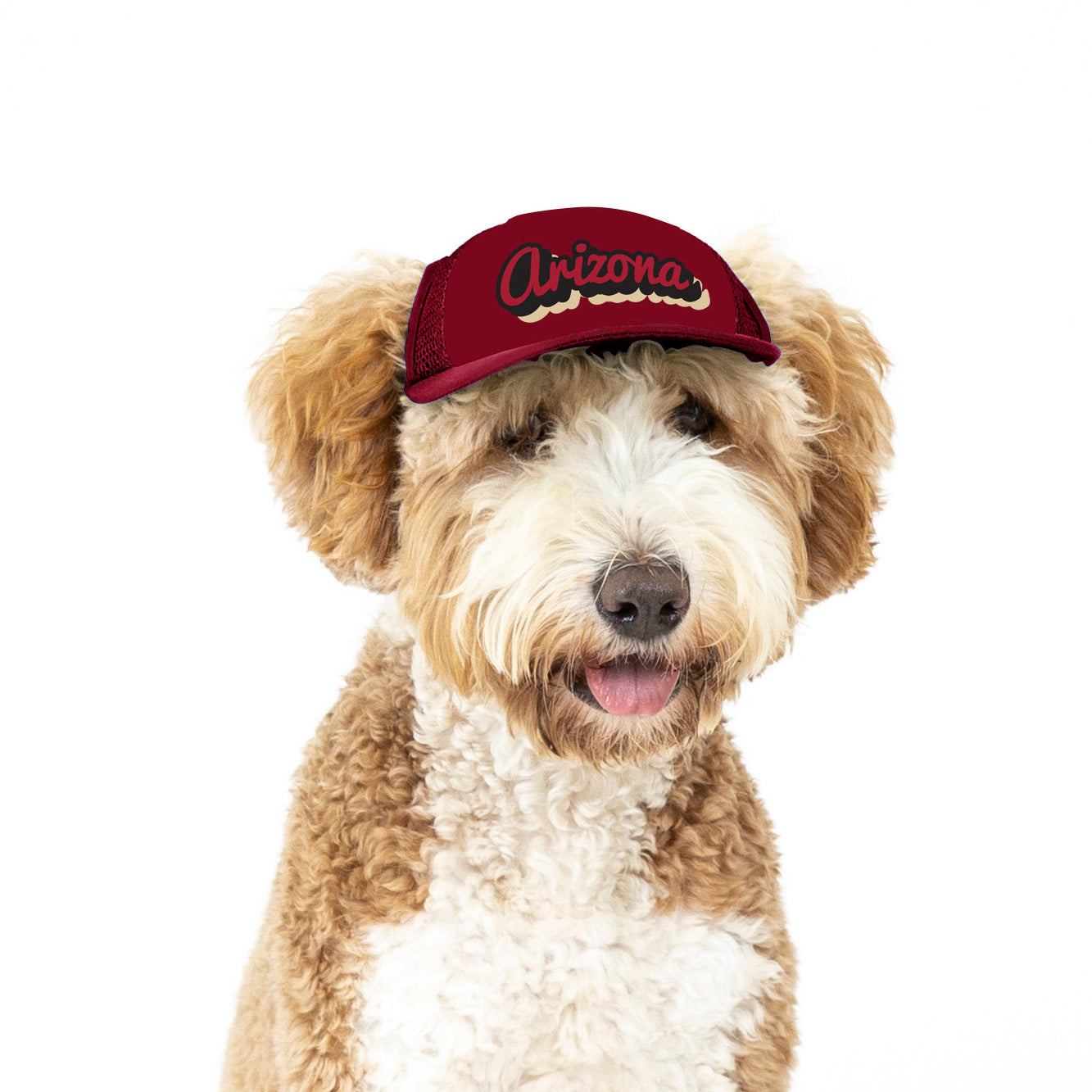 PupLid Cities & States | Solid Colors | Size Small Dog Hat