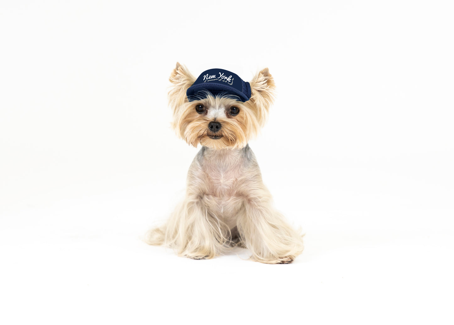 PupLid Cities & States | Solid Colors | Size Tiny Dog Hat