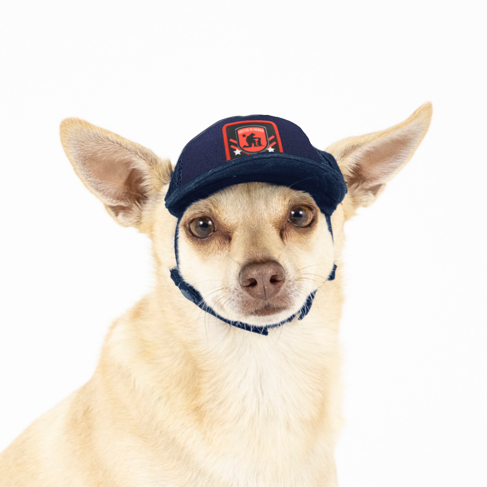 Shelter to Soldier x PupLid | Size XXS Dog Hat
