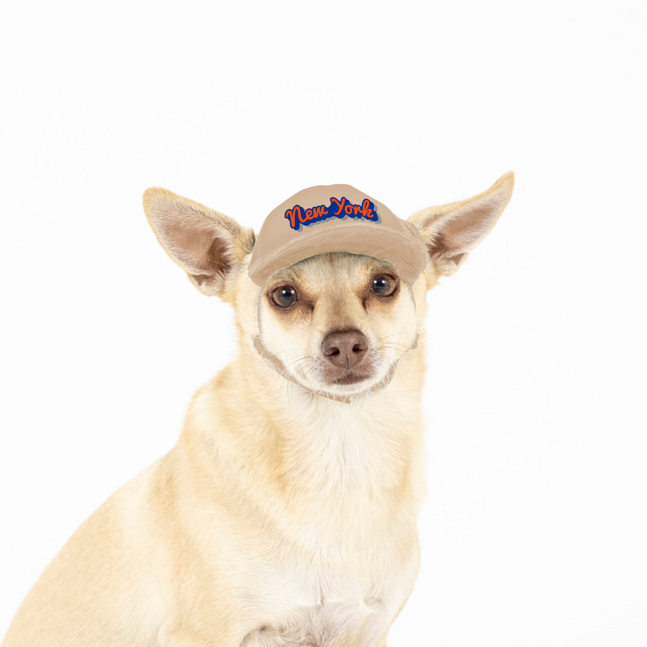 PupLid Cities & States | Solid Colors | Size XXS Dog Hat