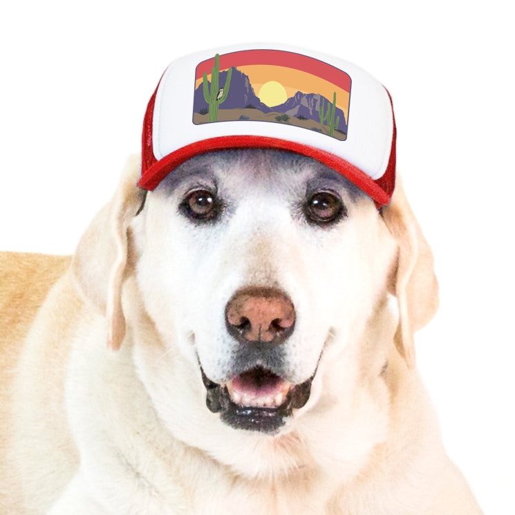PupLid Landscape Designs | Size Large Dog Hat