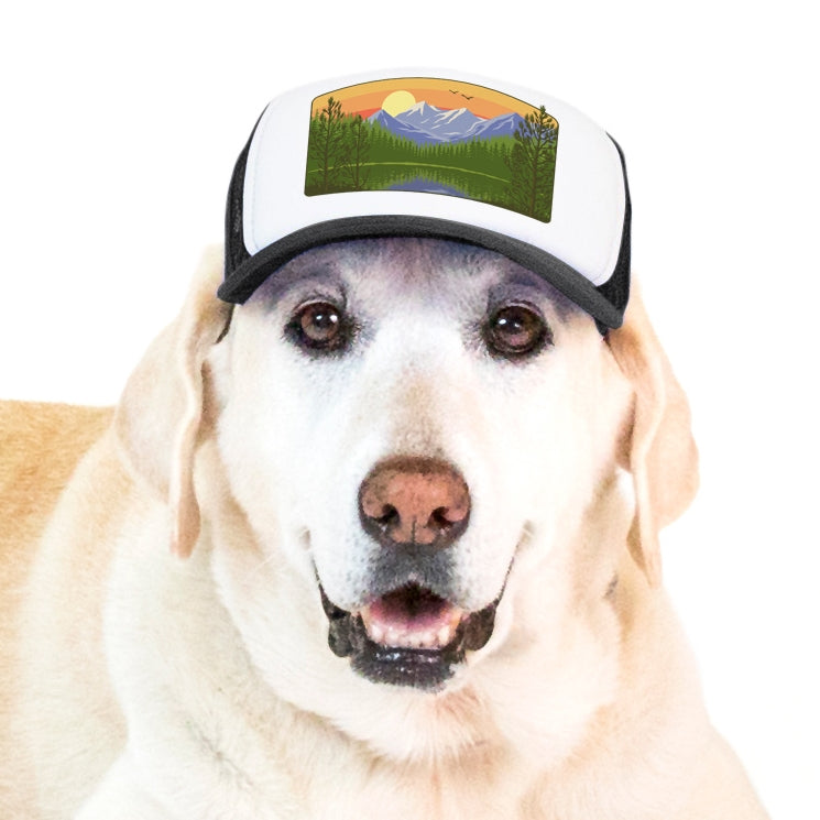 PupLid Landscape Designs | Size Large Dog Hat