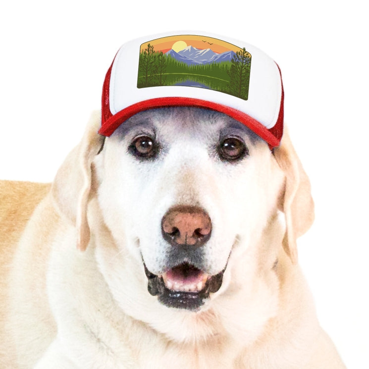 PupLid Landscape Designs | Size Large Dog Hat