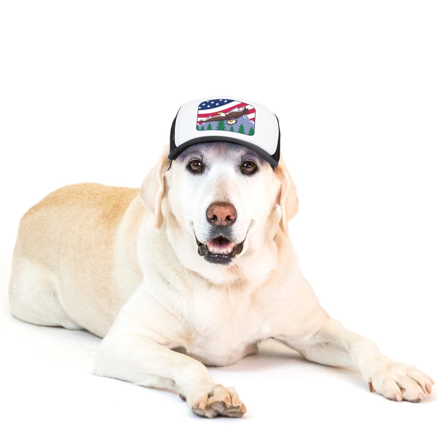 PupLid USA Designs | Shop Size Large Trucker Hats for Dogs Red / Stripes