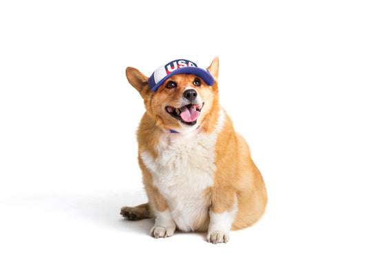 PupLid USA Designs | Size Medium Dog Hat