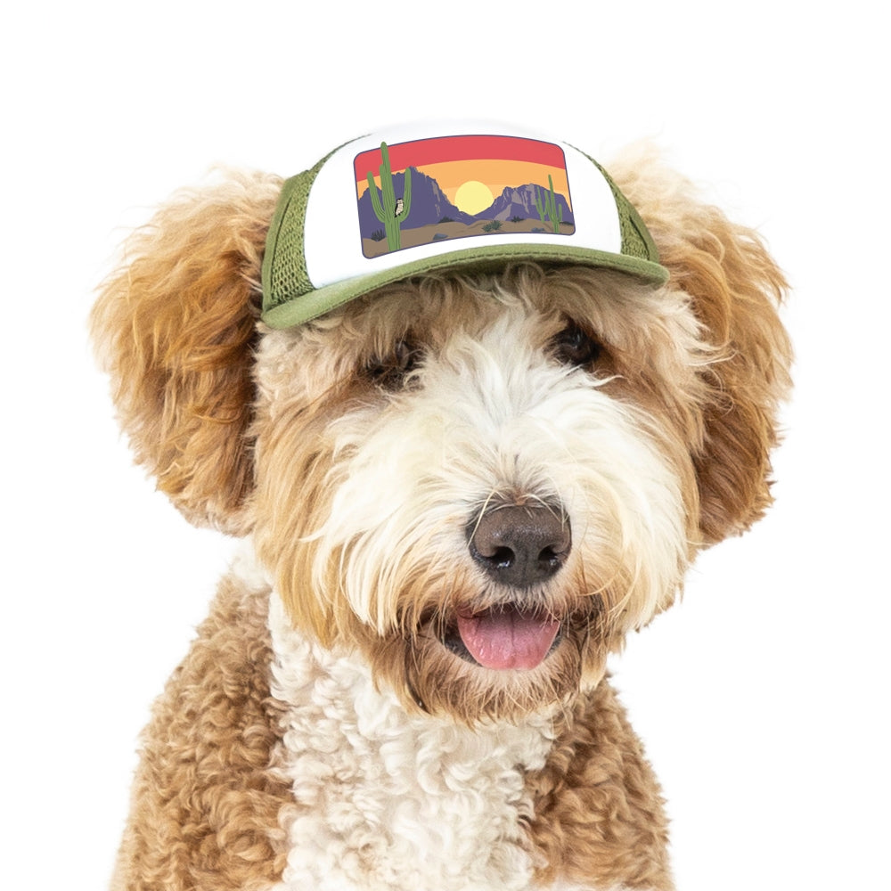PupLid Landscape Designs | Size Small Dog Hat