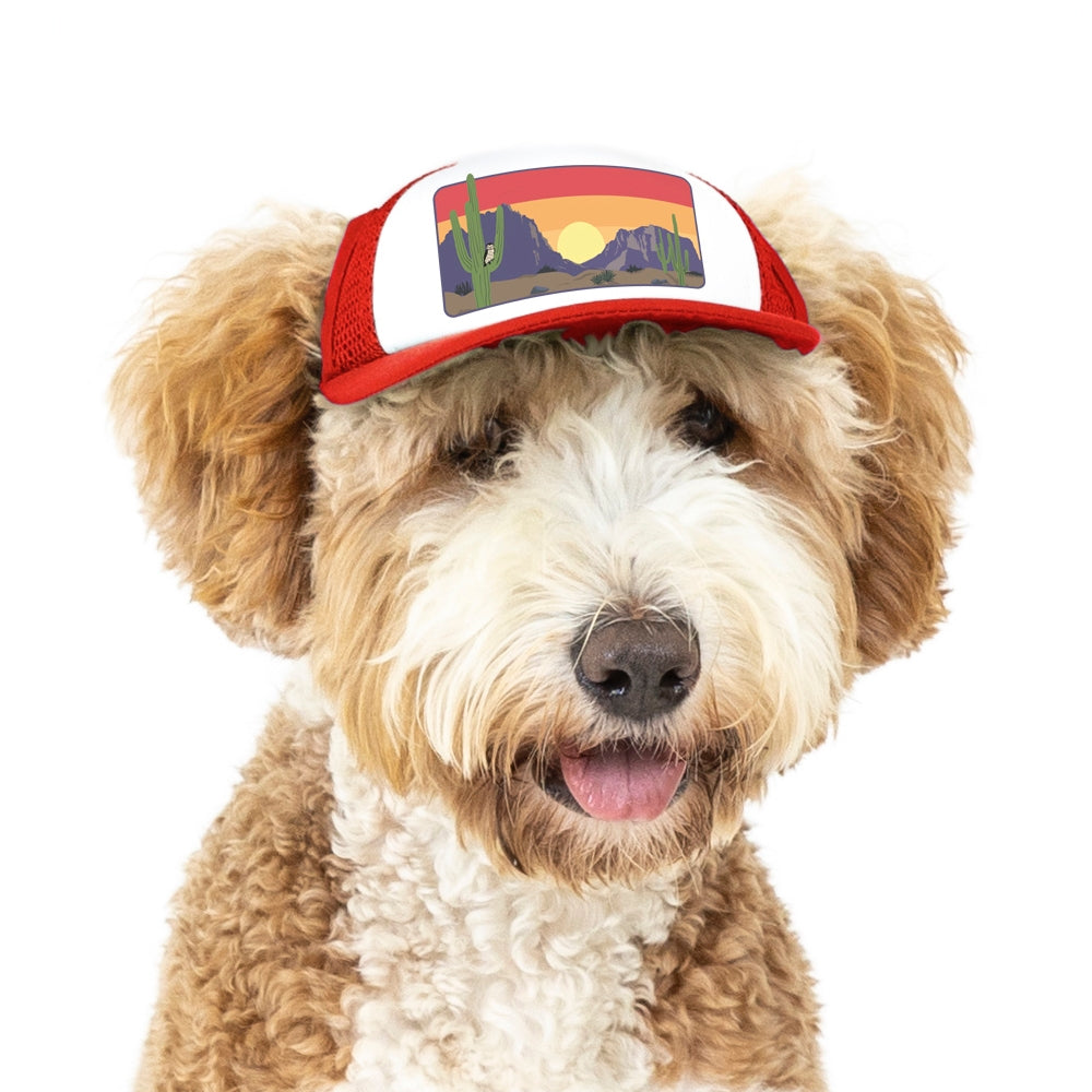 PupLid Landscape Designs | Size Small Dog Hat