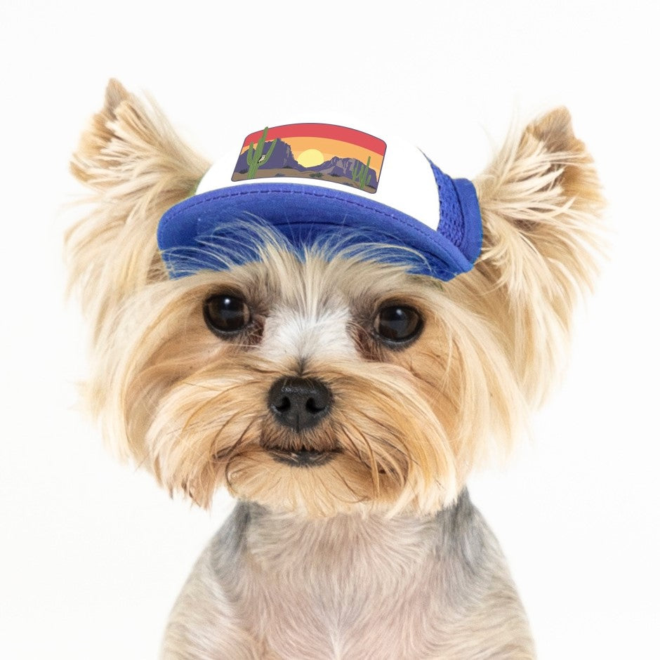 PupLid Landscape Designs | Size Tiny Dog Hat