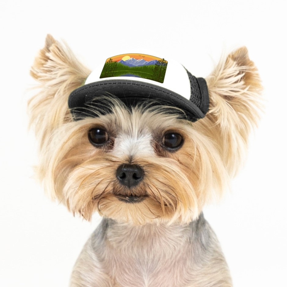PupLid Landscape Designs | Size Tiny Dog Hat