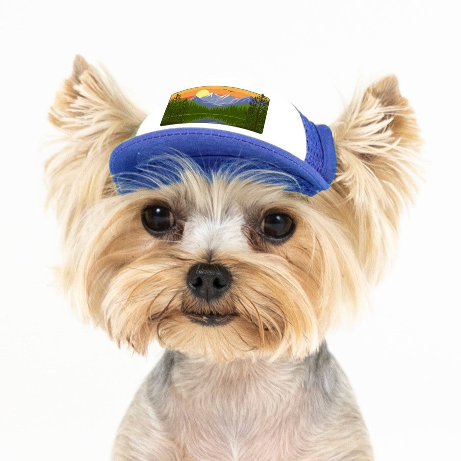 PupLid Landscape Designs | Size Tiny Dog Hat