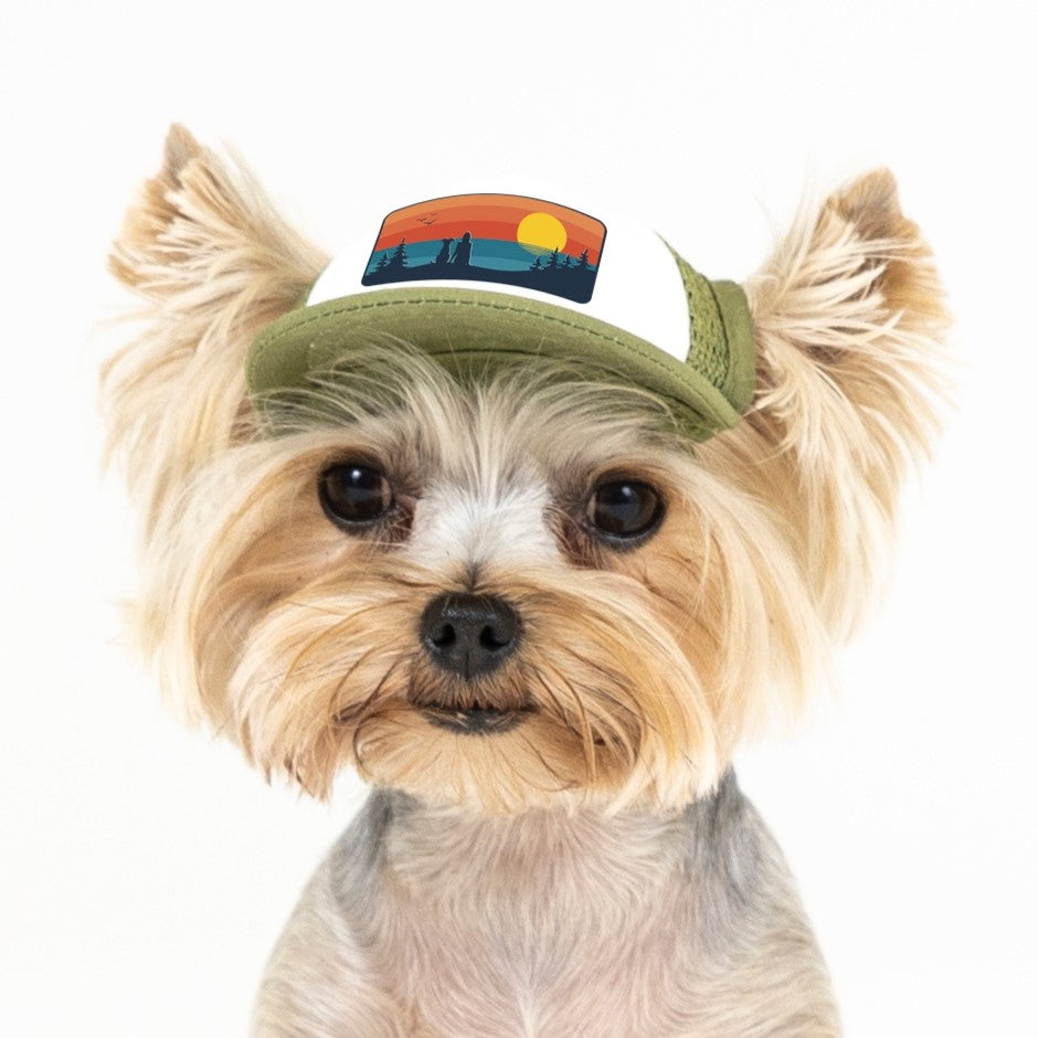 PupLid Landscape Designs | Size Tiny Dog Hat