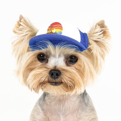 PupLid Sunset Designs | Size Tiny Dog Hat | All Colors