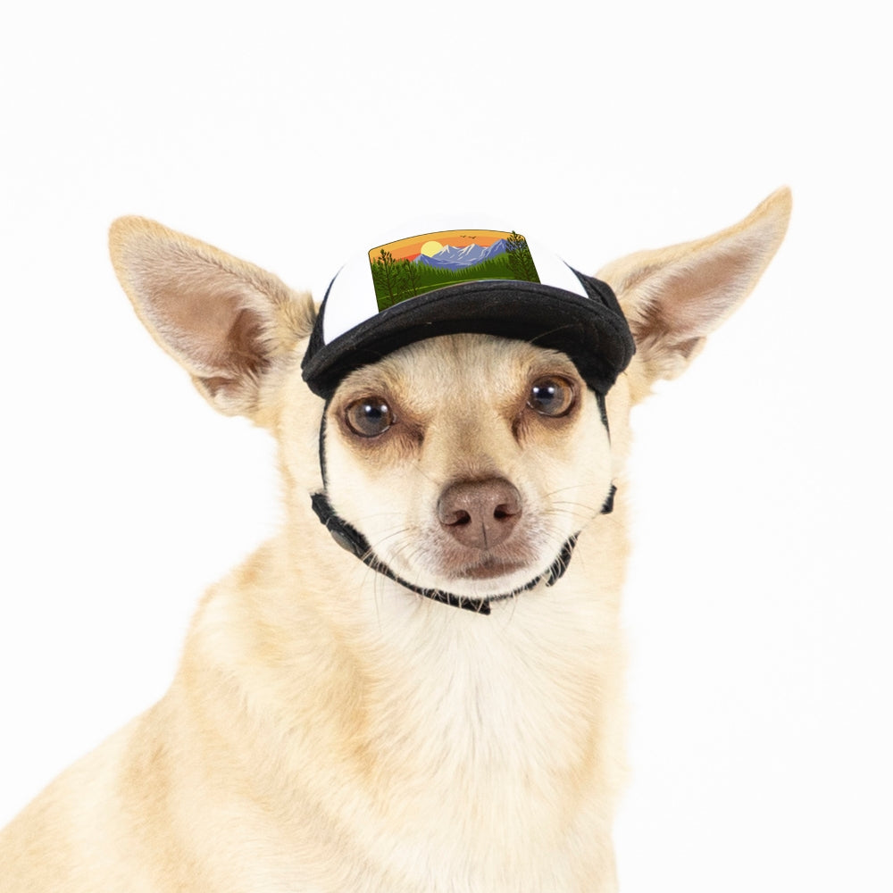 PupLid Landscape Designs | Size XXS Dog Hat