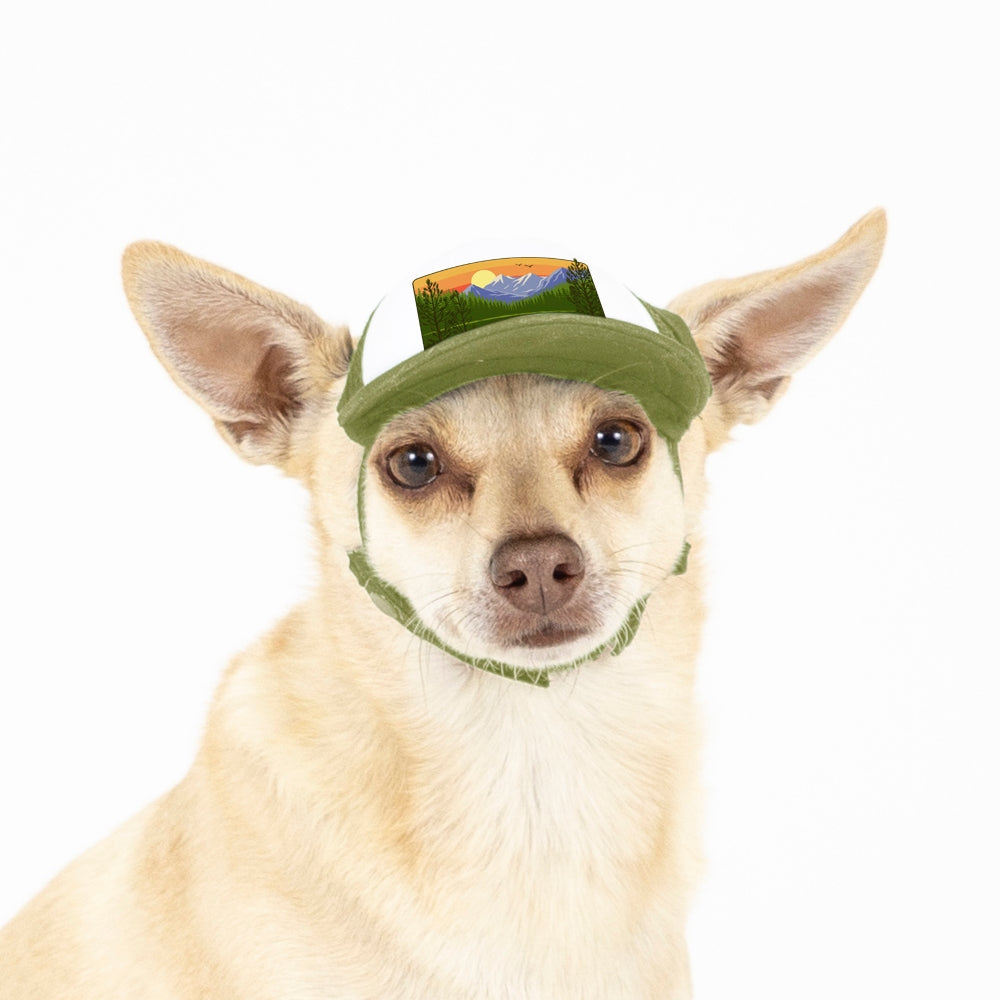 PupLid Landscape Designs | Size XXS Dog Hat