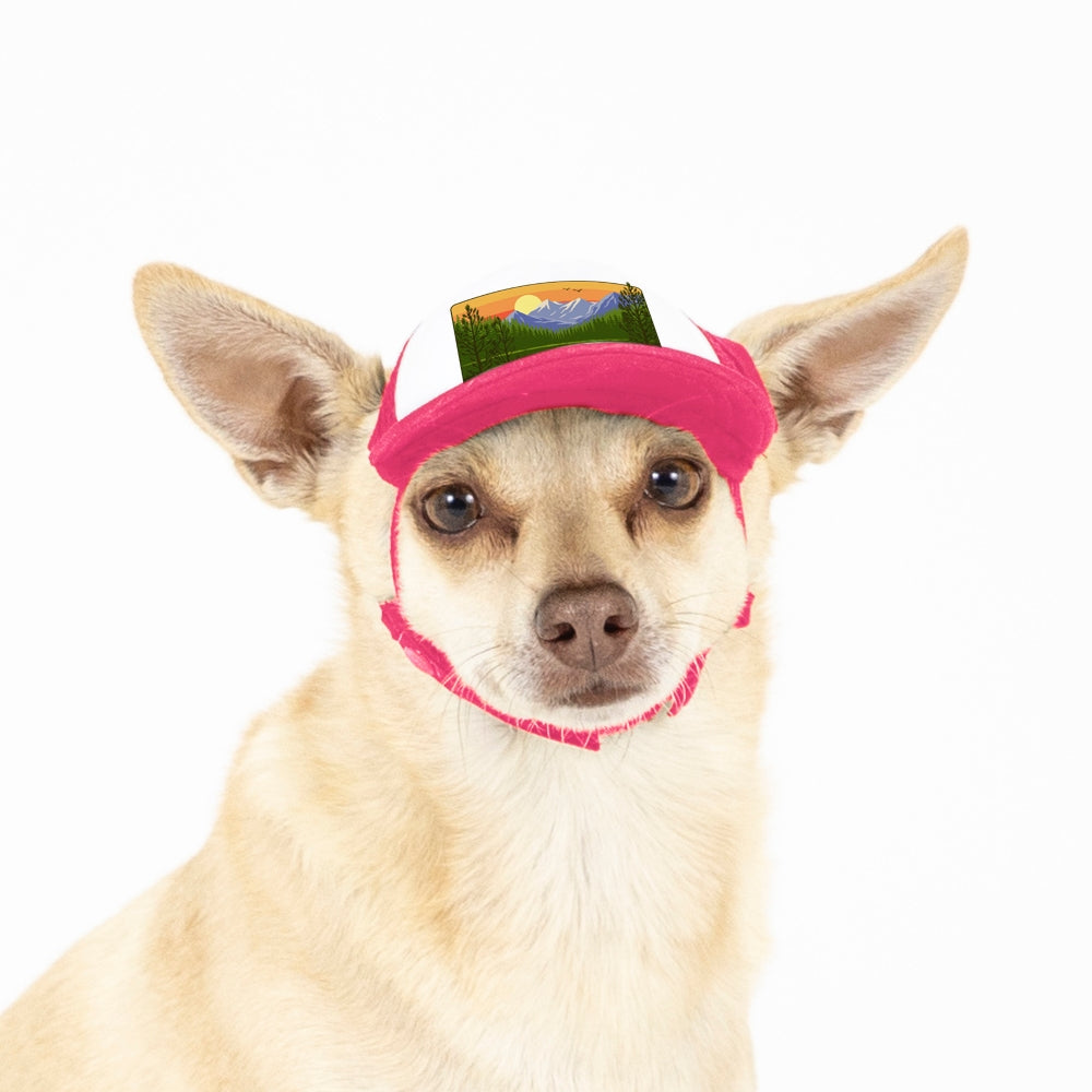 PupLid Landscape Designs | Size XXS Dog Hat