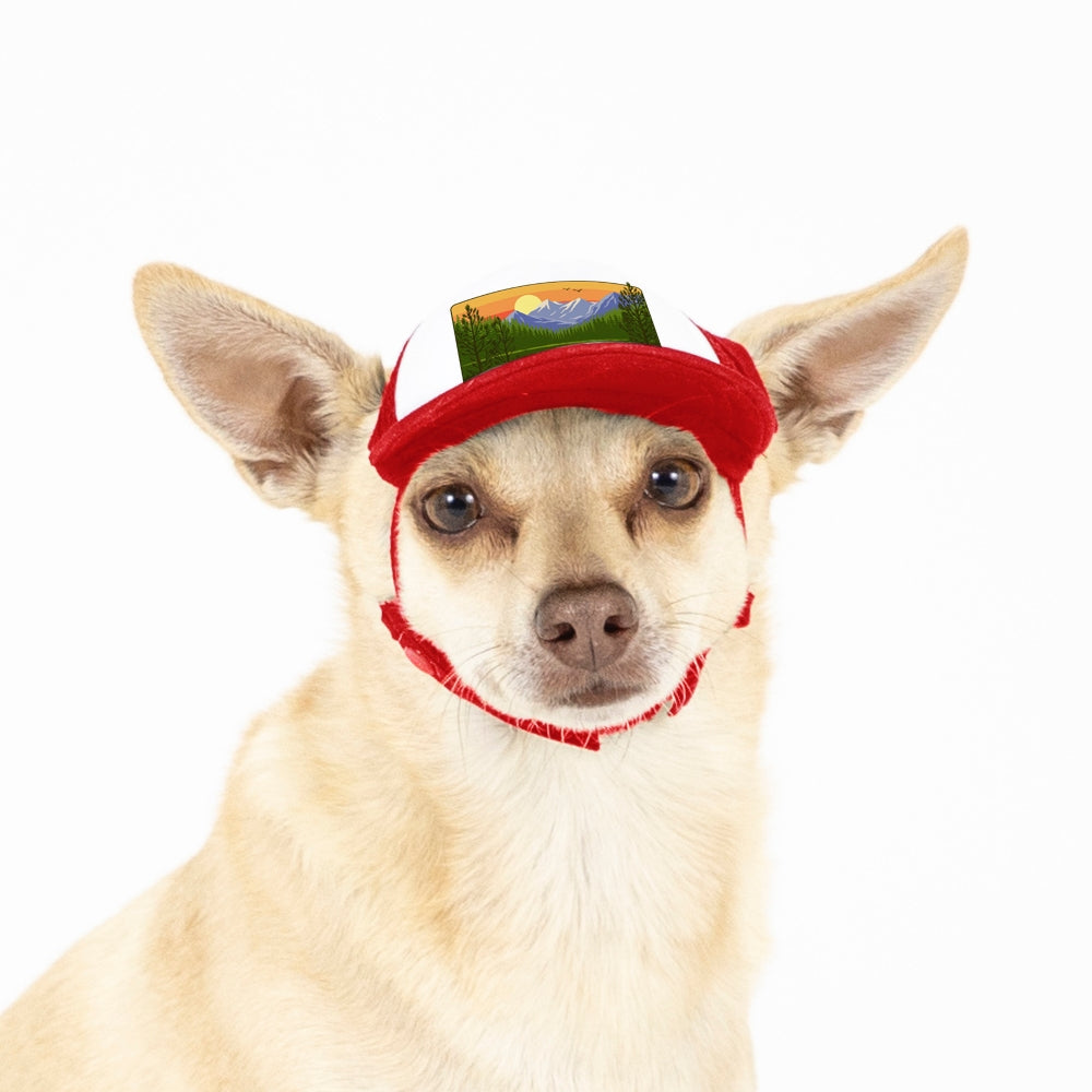 PupLid Landscape Designs | Size XXS Dog Hat