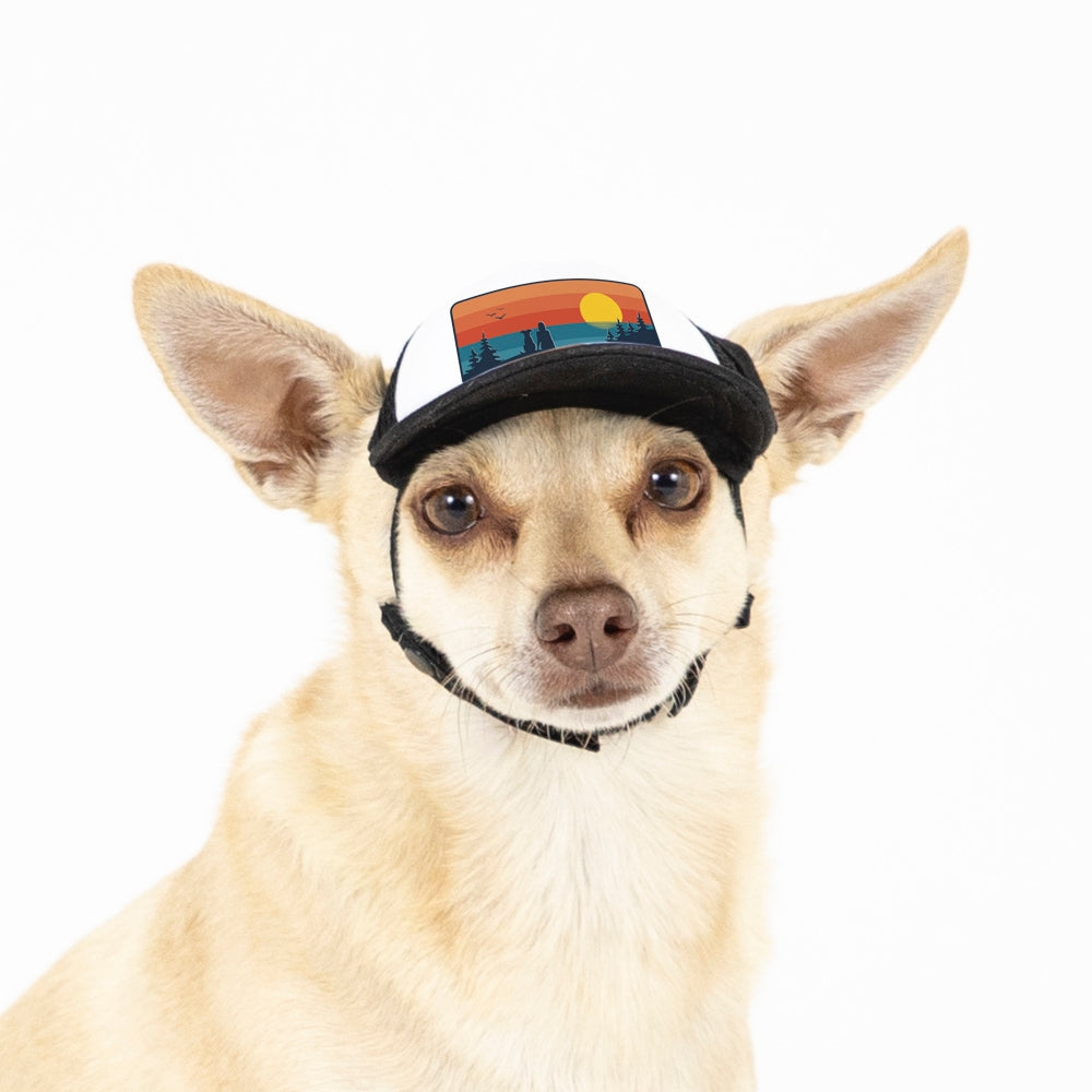 PupLid Landscape Designs | Size XXS Dog Hat