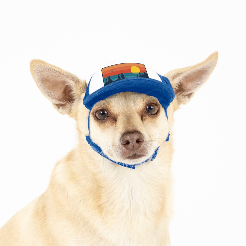 PupLid Landscape Designs | Size XXS Dog Hat