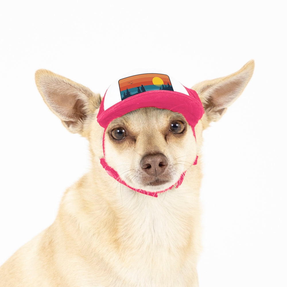 PupLid Landscape Designs | Size XXS Dog Hat