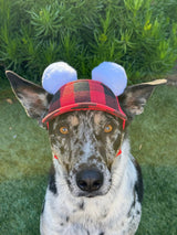 DIY Holiday Hat for Your Dog or Cat: Add Festive Pom Poms to Your PupLid