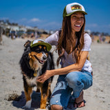 How to Celebrate National Dog Day with Your Pup