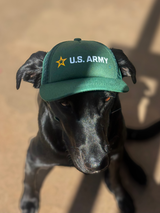 Celebrating National Pets for Veterans Day