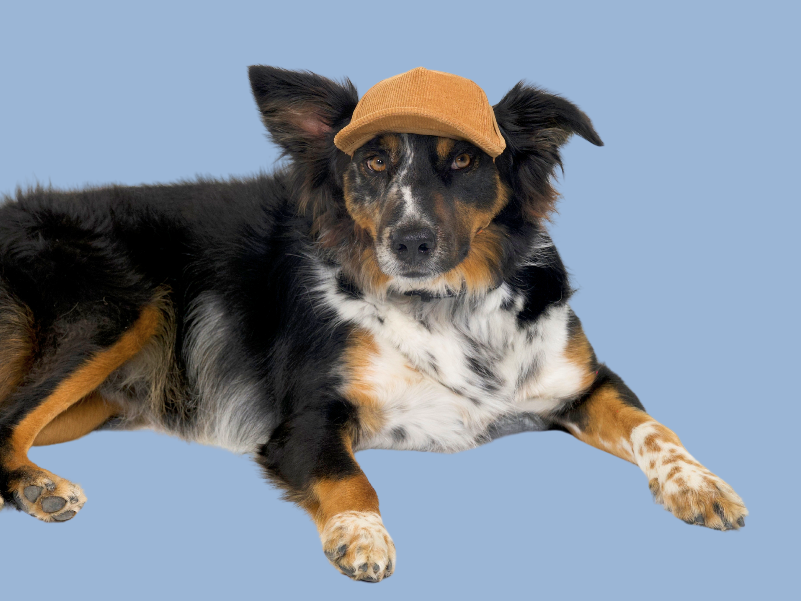 corduroy hats