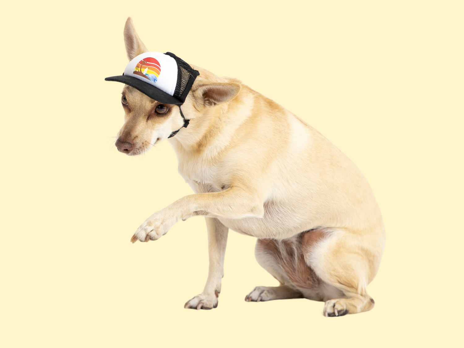 foam trucker hats