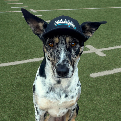 Super Bowl LIX | Hats for Pets