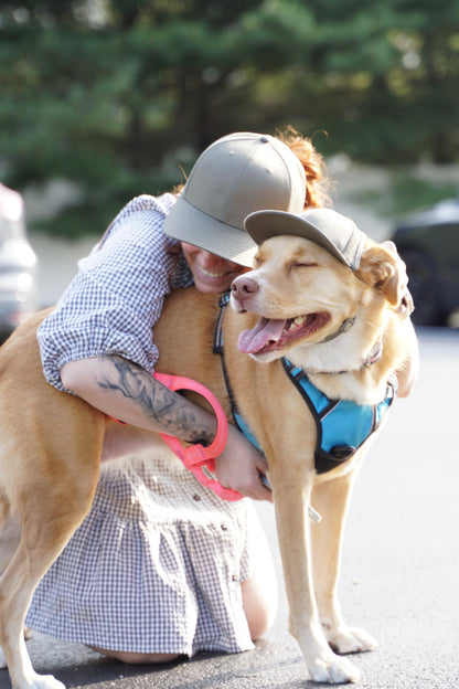 PupLid Baseball Cap | Human Twinning Cap