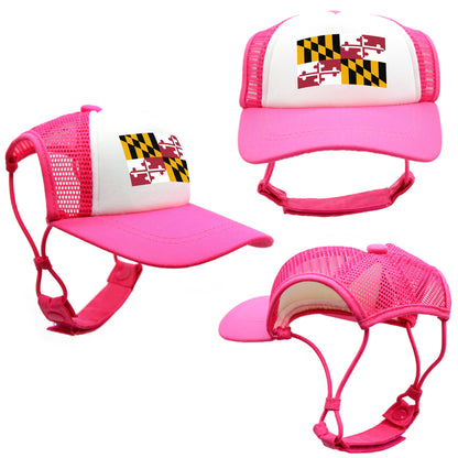 PupLid Cities & States | Size Small Dog Hat | Fall Collection