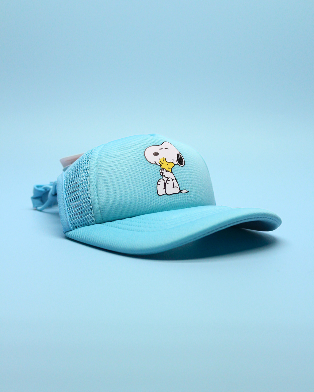 snoopy & woodstock hug