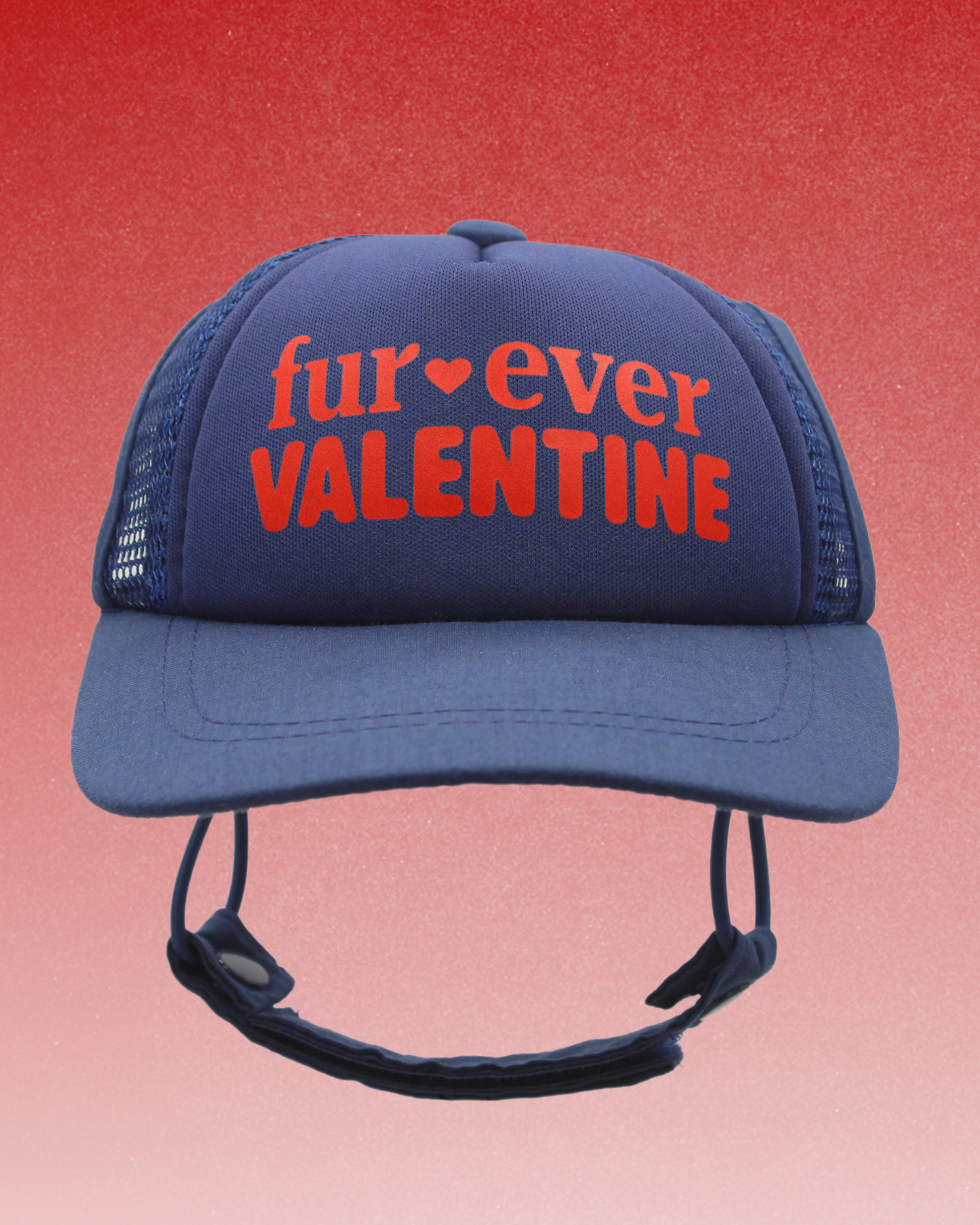 fur-ever valentine