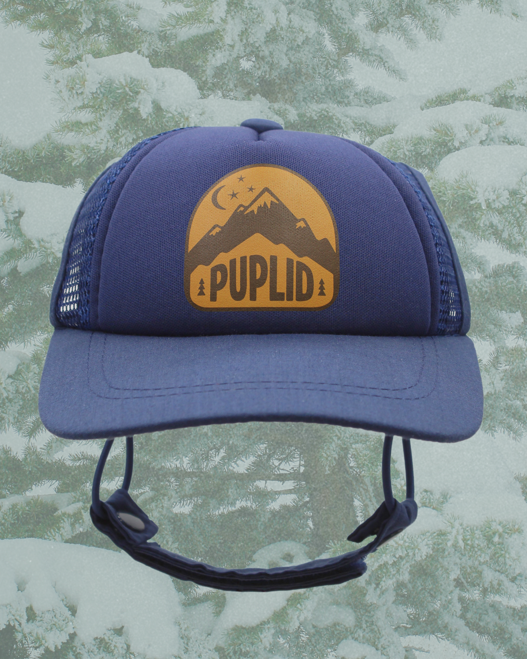 mountain badge