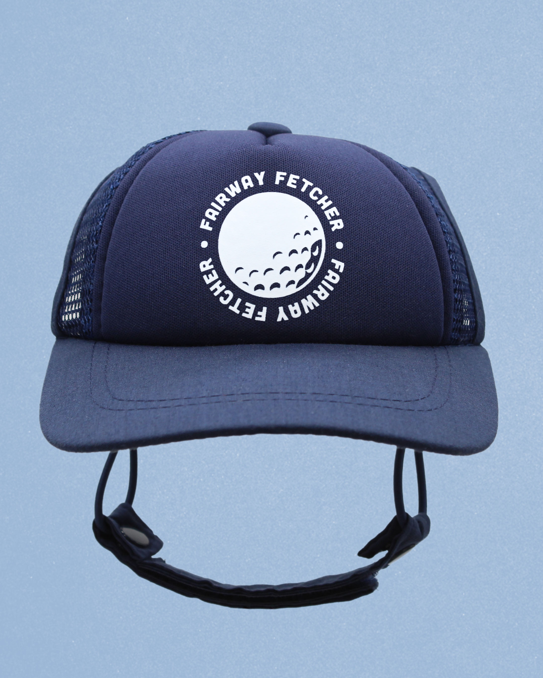 sports collection